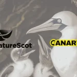 Disgusting video exposes brutal reality of gannet hunt